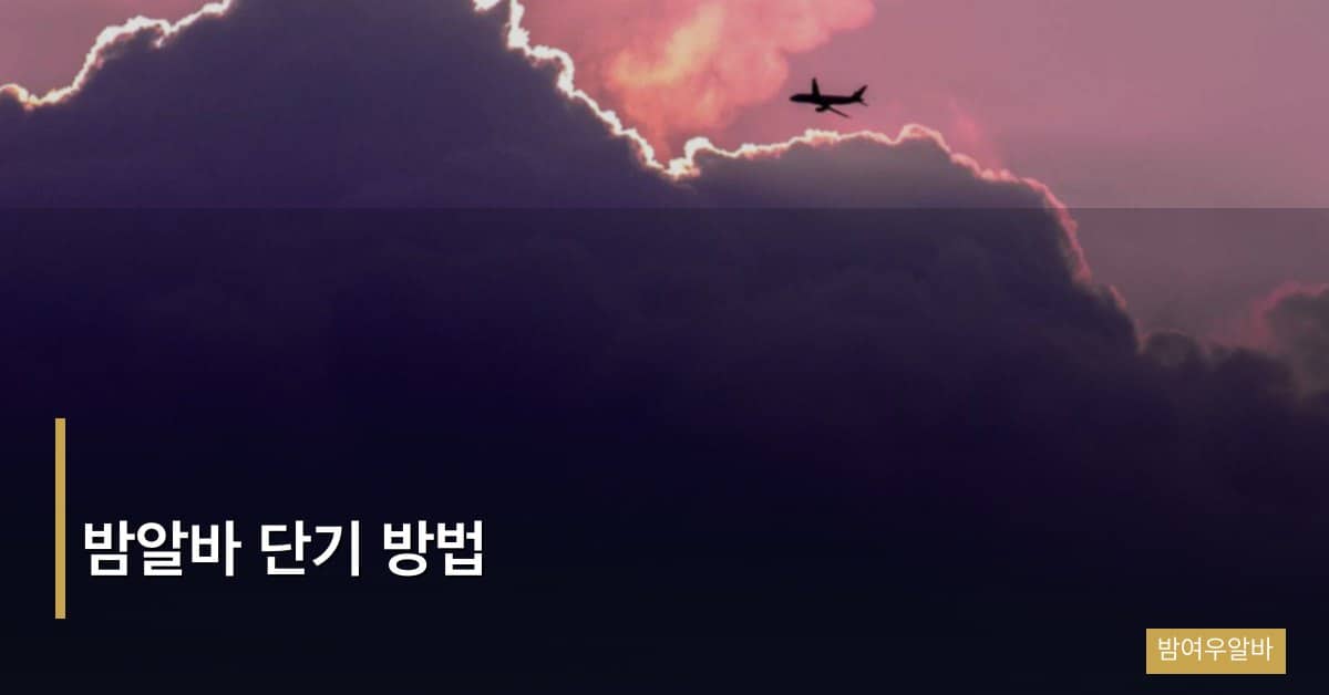 “밤알바 단기 방법: 1개월 이내 목돈 만드는 단기 집중 전략”