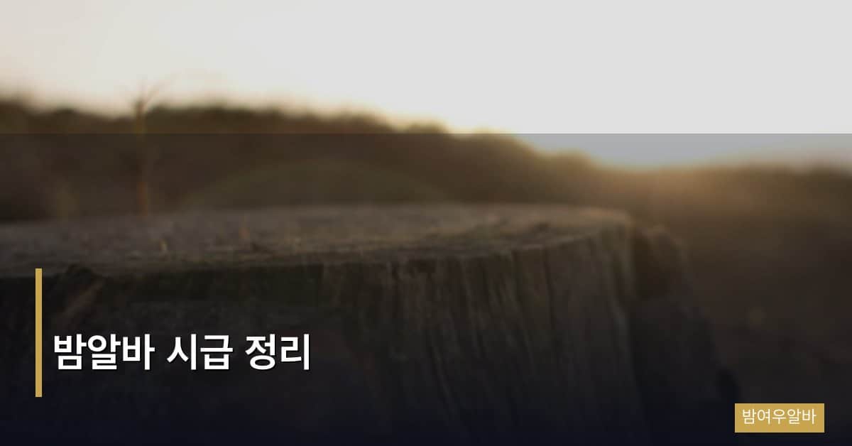 밤알바 시급 완전 정리 2026