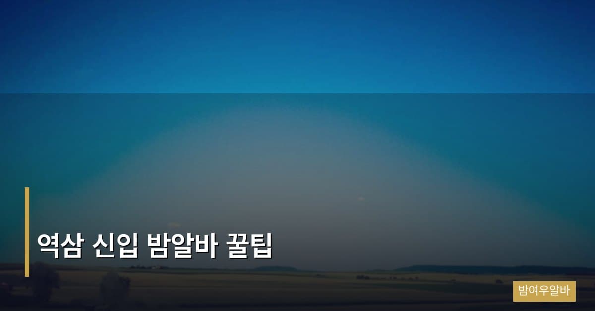 역삼 신입 밤알바 꿀팁
