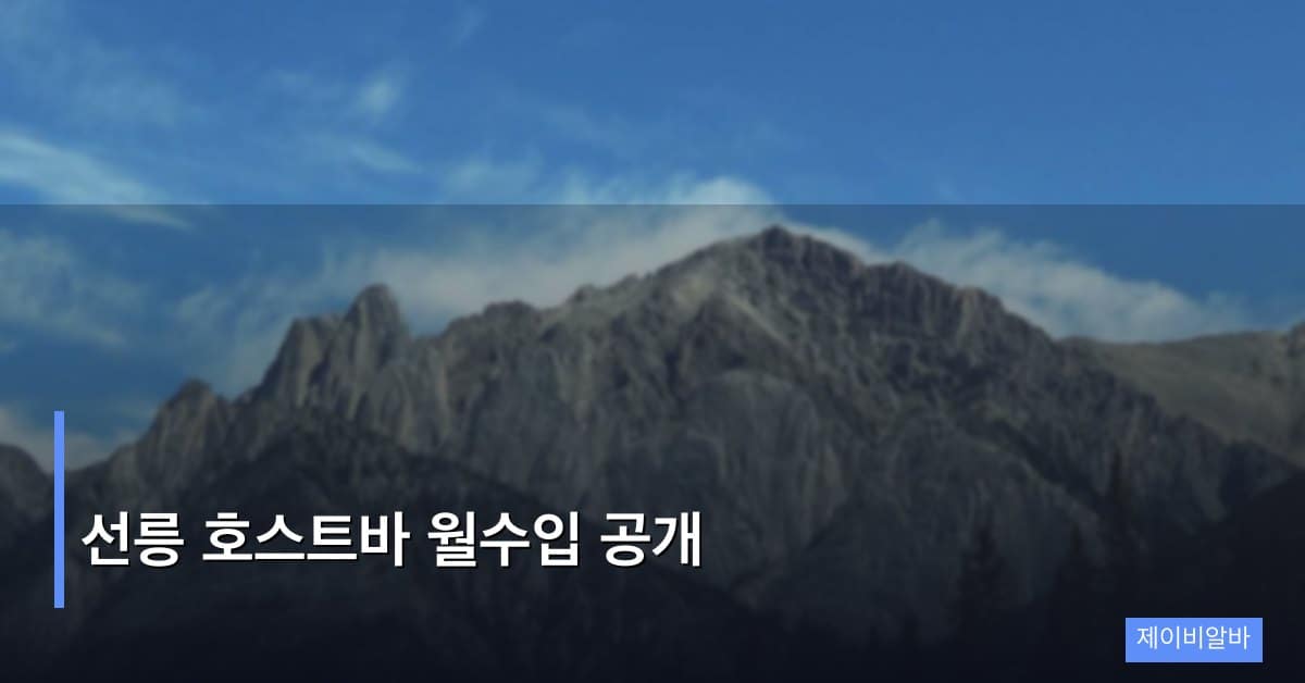 선릉 호스트바 월수입 공개, 현직 선수가 말하는 구간별 현실 수치