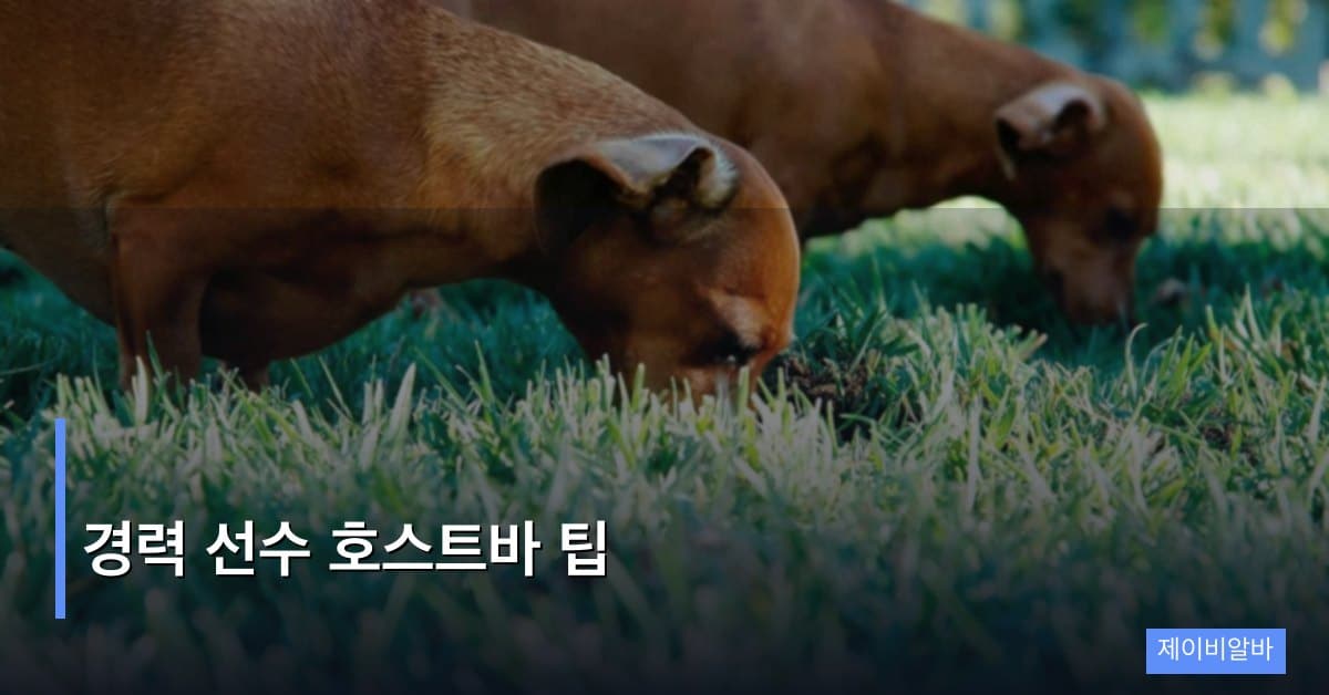 경력 선수 호스트바 팁, 1년 이상 베테랑이 매출 두 배 올리는 7가지 전략