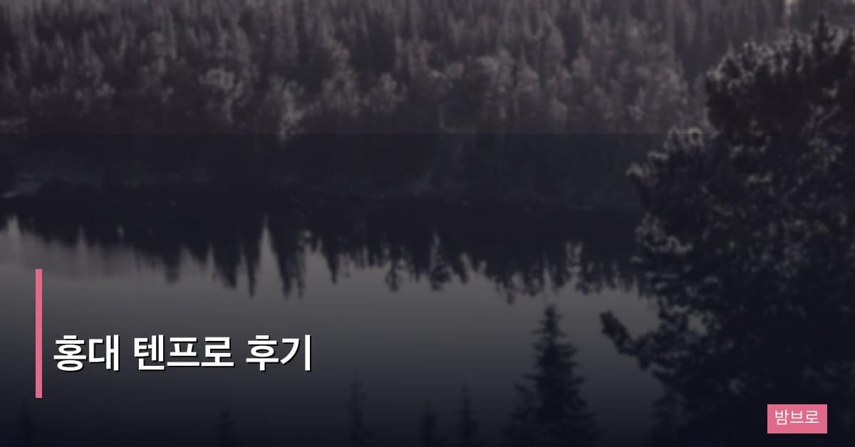 홍대 텐프로 후기, 강남권과 비교해 본 실제 방문 경험기