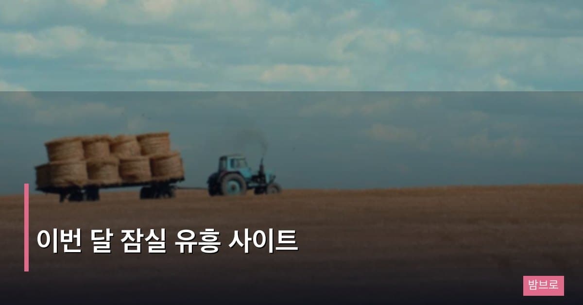 이번 달 잠실 유흥 사이트, 상권 특성과 방문 전략 총정리
