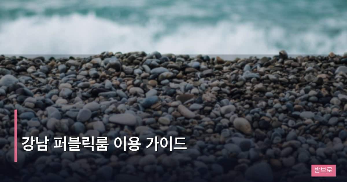 강남 퍼블릭룸 이용 가이드와 만족도 높이는 실전 팁