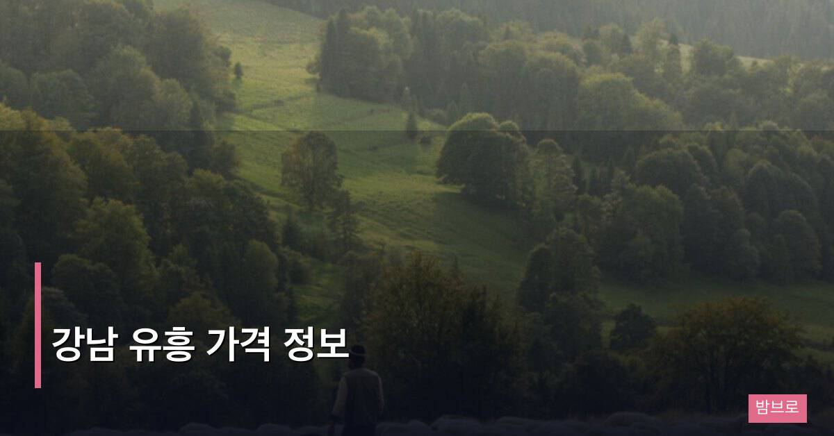 강남 유흥 가격 정보, 업종별 평균 시세와 예산 짜는 법