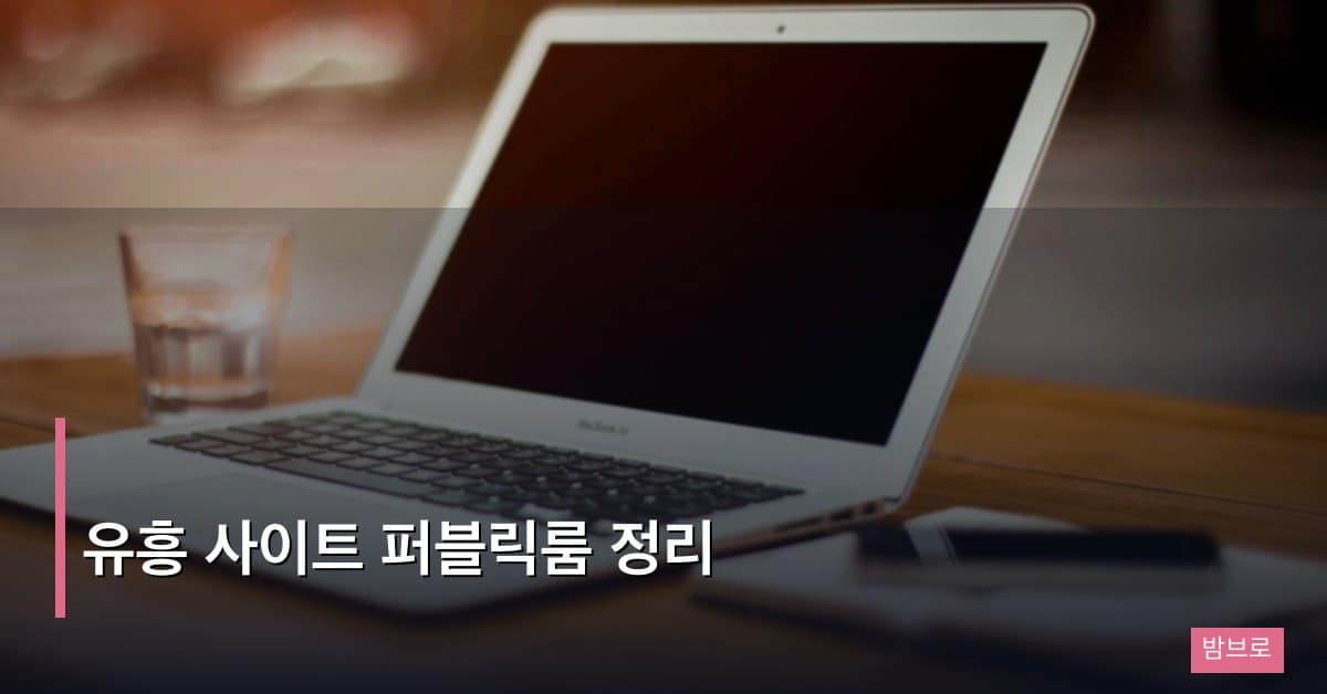 유흥 사이트 퍼블릭룸 정리 – 입문자를 위한 완벽 설명