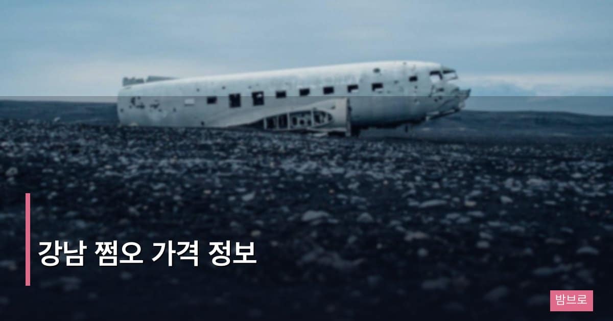 강남 쩜오 가격 정보 – 지역별·등급별 비용 총정리