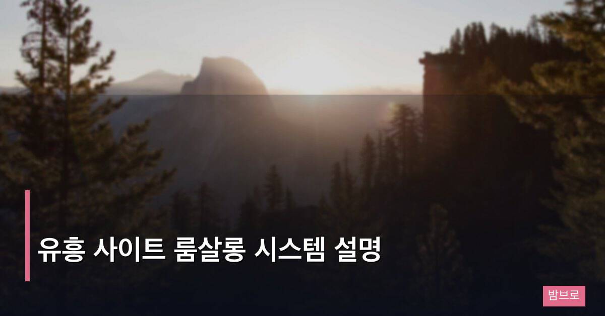 유흥 사이트 룸살롱 시스템 설명, 처음 가는 분들을 위한 가이드