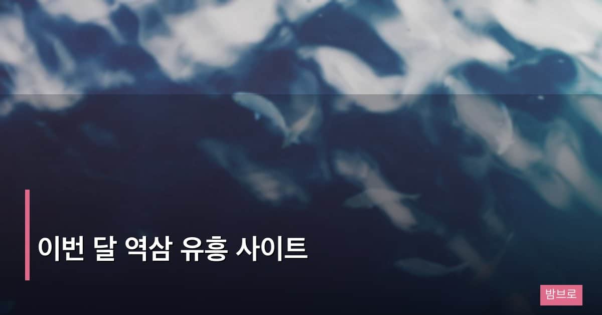 이번 달 역삼 유흥 사이트 화제, 신규 업소와 트렌드 분석