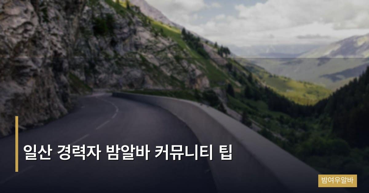일산 경력자 밤알바 커뮤니티 팁