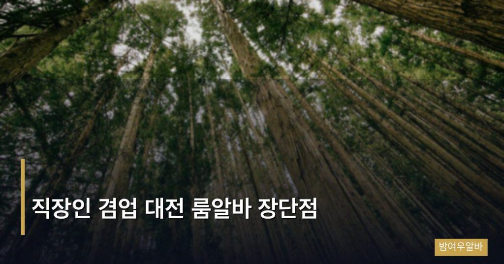 직장인 겸업 대전 룸알바 장단점