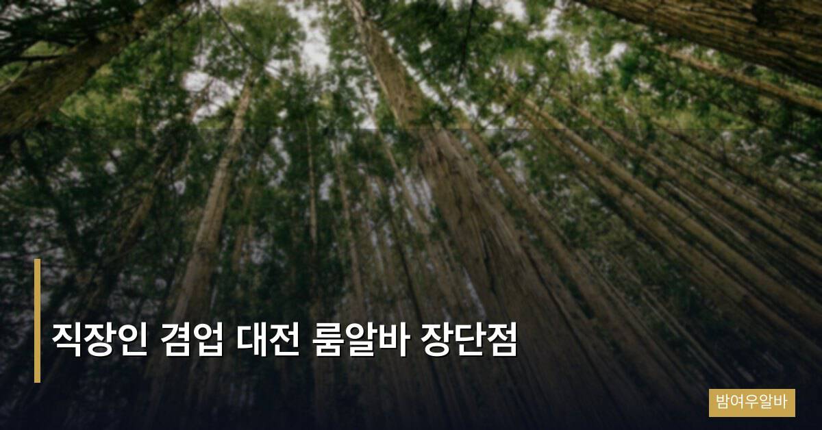 직장인 겸업 대전 룸알바 장단점