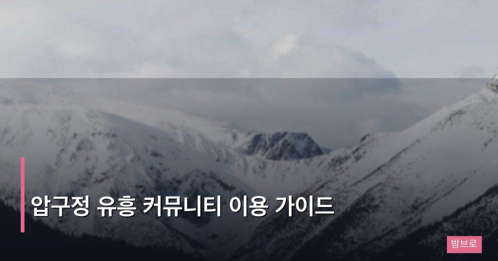 압구정 유흥 커뮤니티 이용 가이드