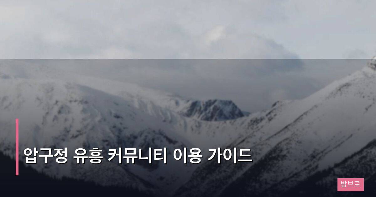 압구정 유흥 커뮤니티 이용 가이드