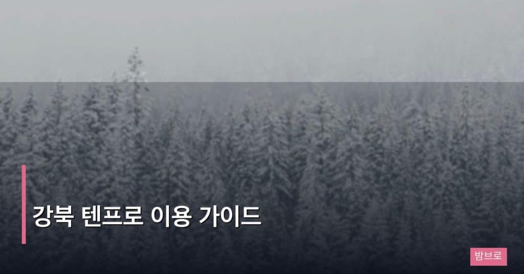 강북 텐프로 이용 가이드