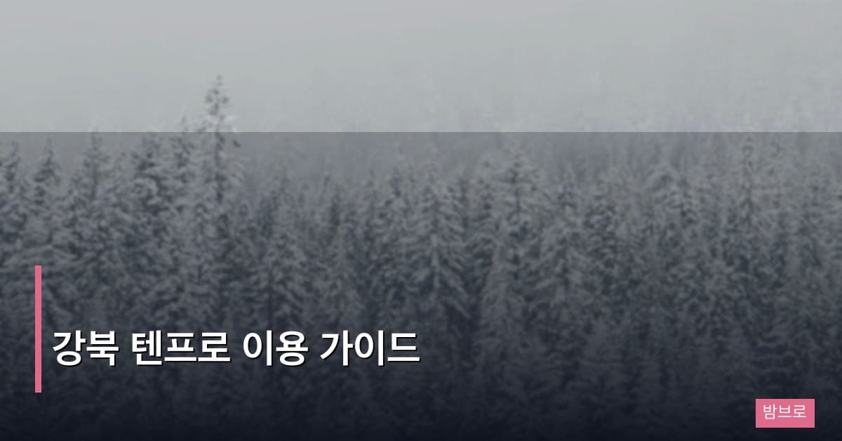 강북 텐프로 이용 가이드