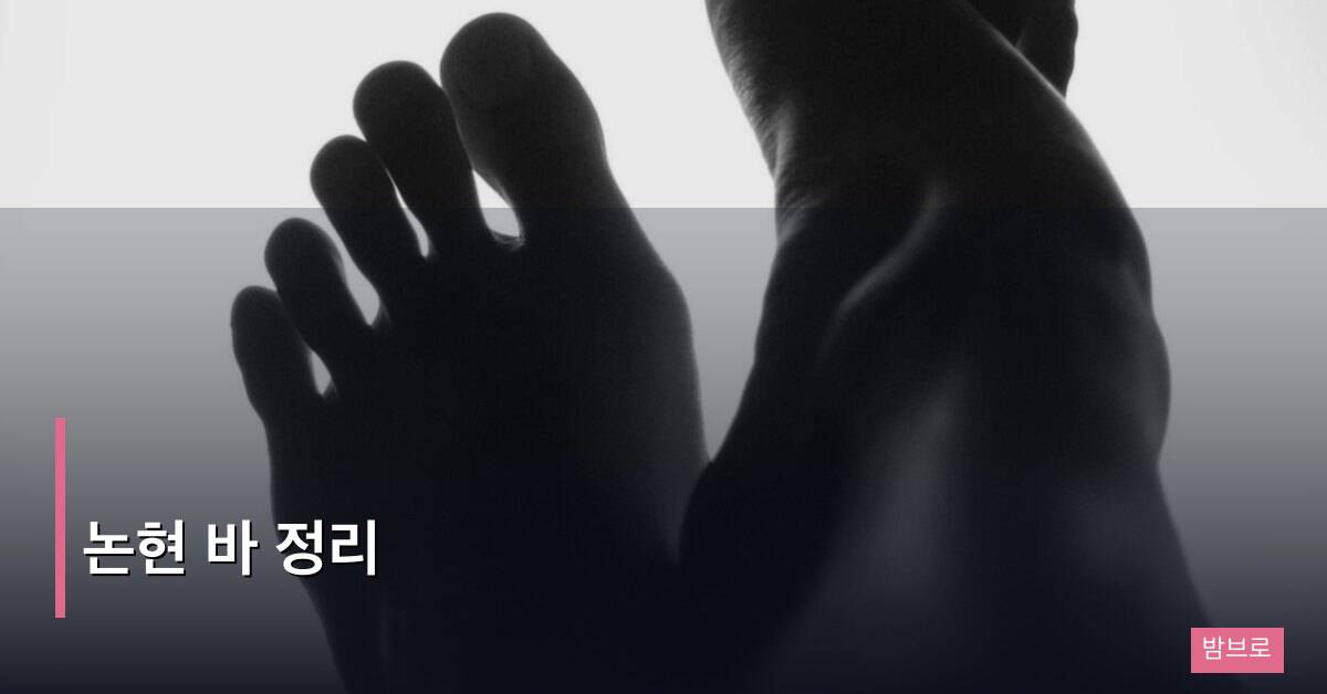 논현 바 정리
