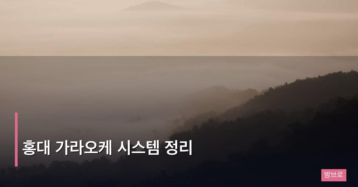 홍대 가라오케 시스템 정리
