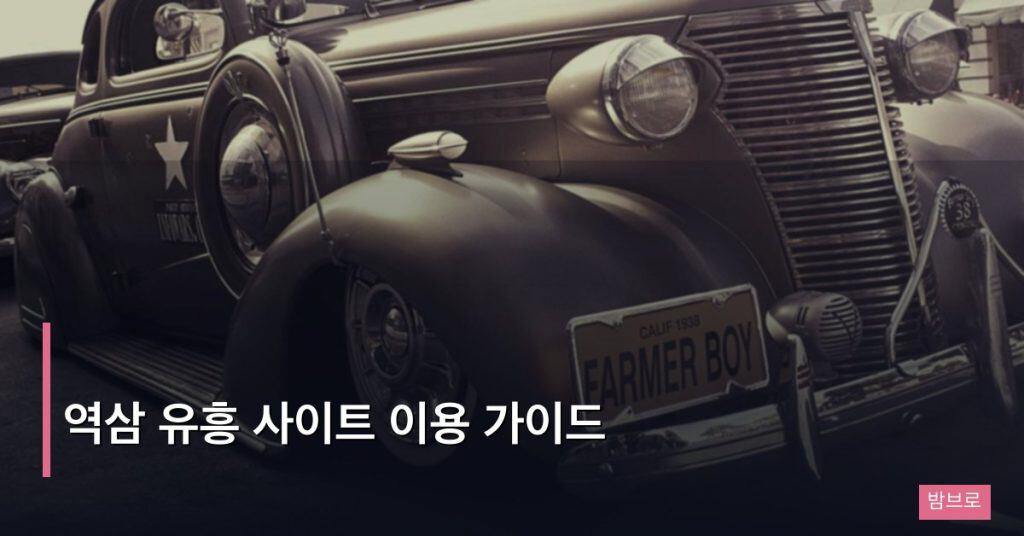역삼 유흥 사이트 이용 가이드