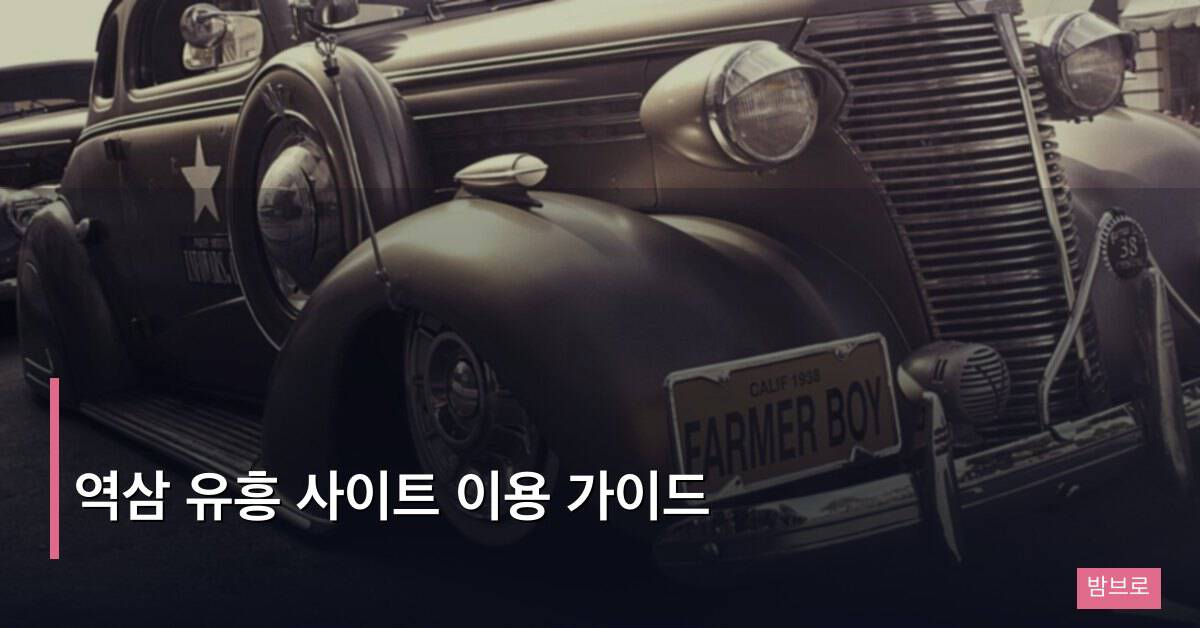 역삼 유흥 사이트 이용 가이드