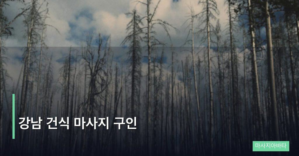 강남 건식 마사지 구인