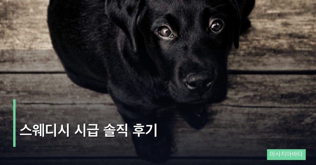 스웨디시 시급 솔직 후기