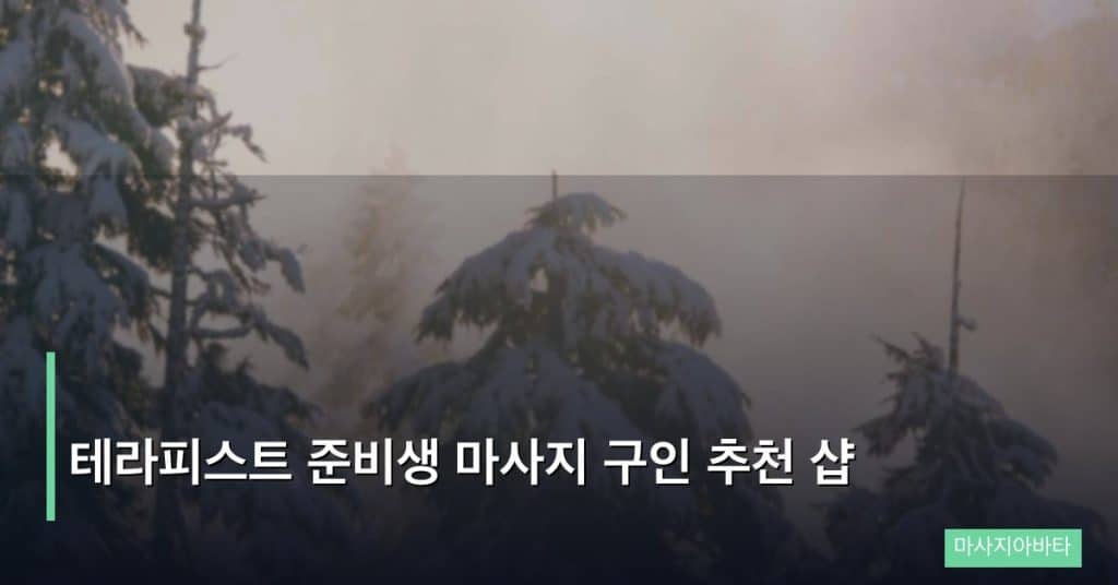 테라피스트 준비생 마사지 구인 추천 샵