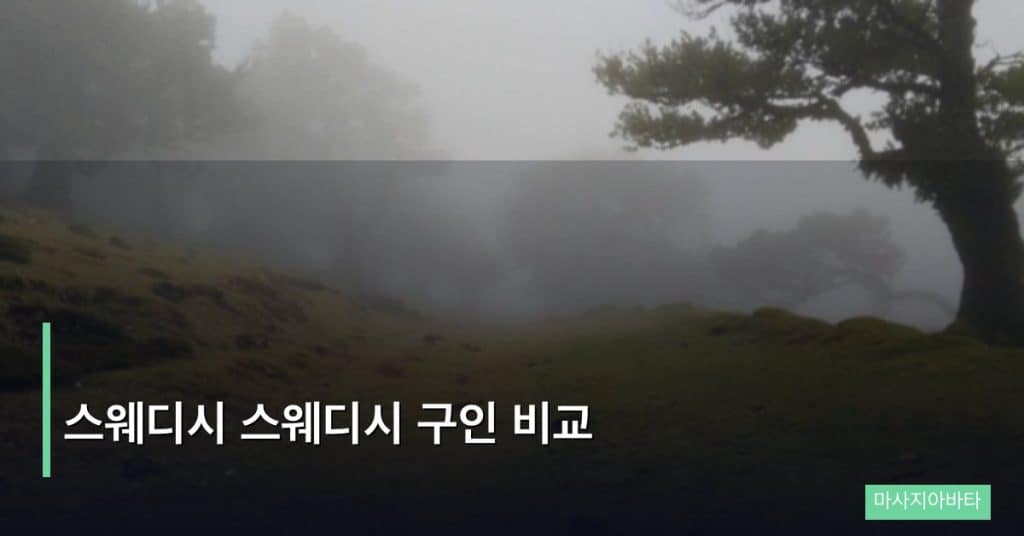 스웨디시 스웨디시 구인 비교