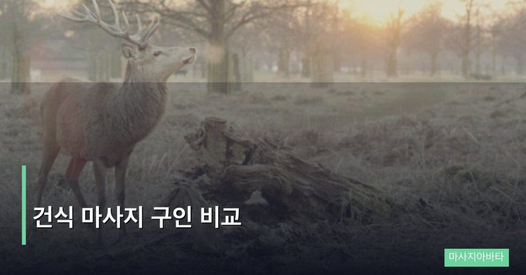 건식 마사지 구인 비교