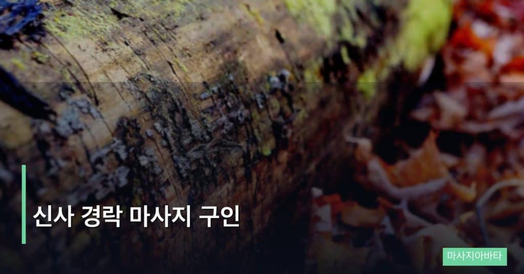 신사 경락 마사지 구인