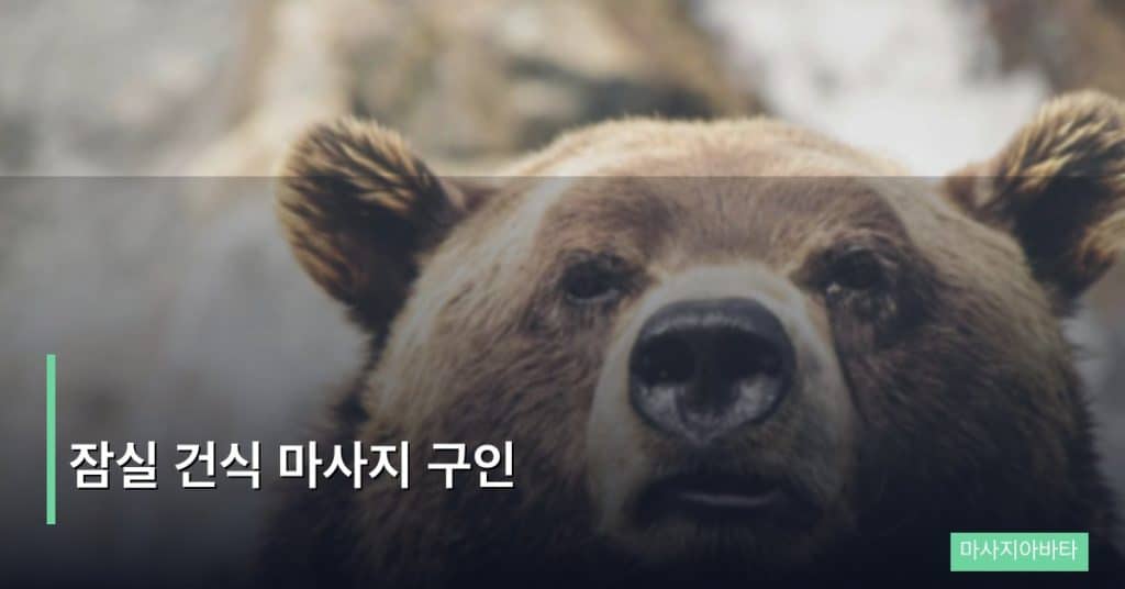 잠실 건식 마사지 구인