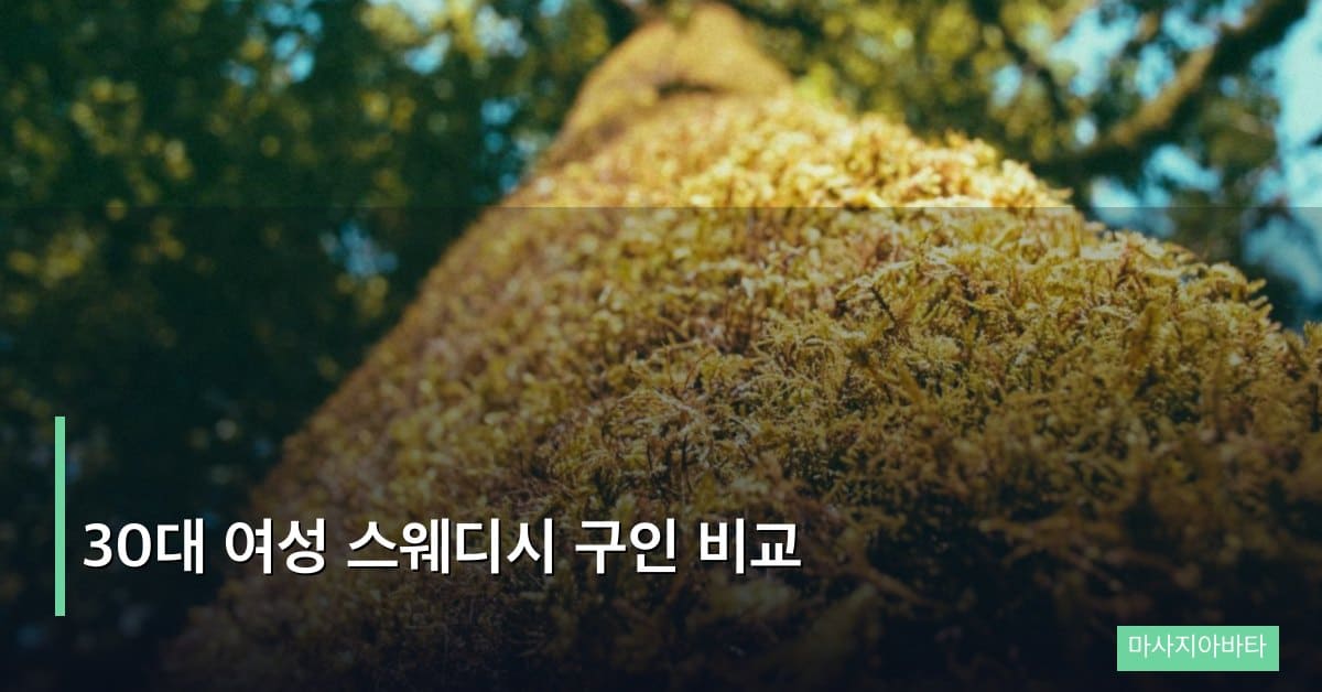 30대 여성 스웨디시 구인 비교