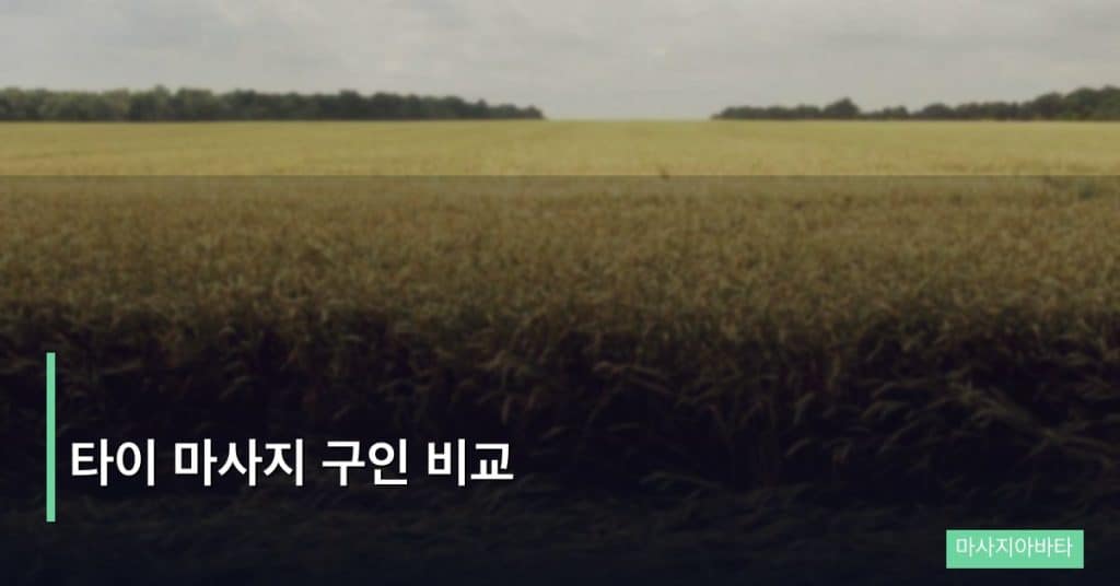 타이 마사지 구인 비교
