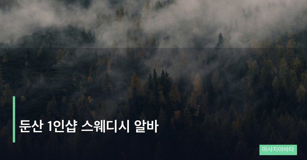 둔산 1인샵 스웨디시 알바