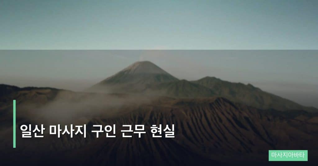 일산 마사지 구인 근무 현실