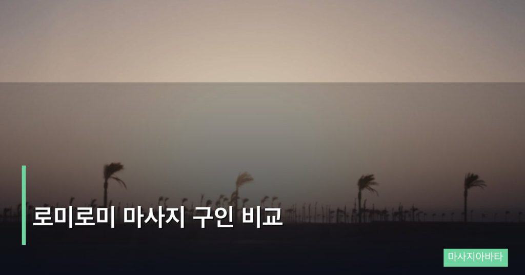 로미로미 마사지 구인 비교