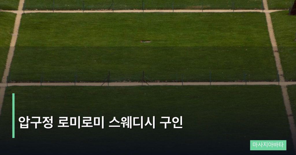 압구정 로미로미 스웨디시 구인