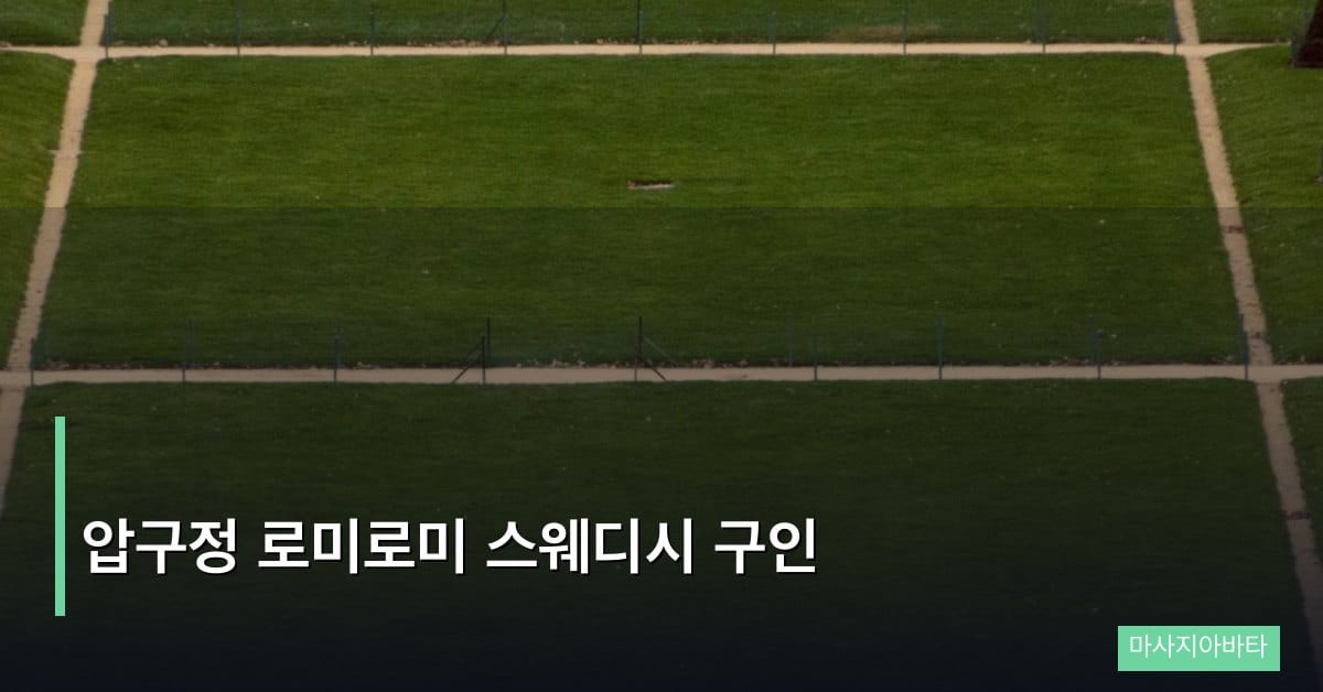 압구정 로미로미 스웨디시 구인