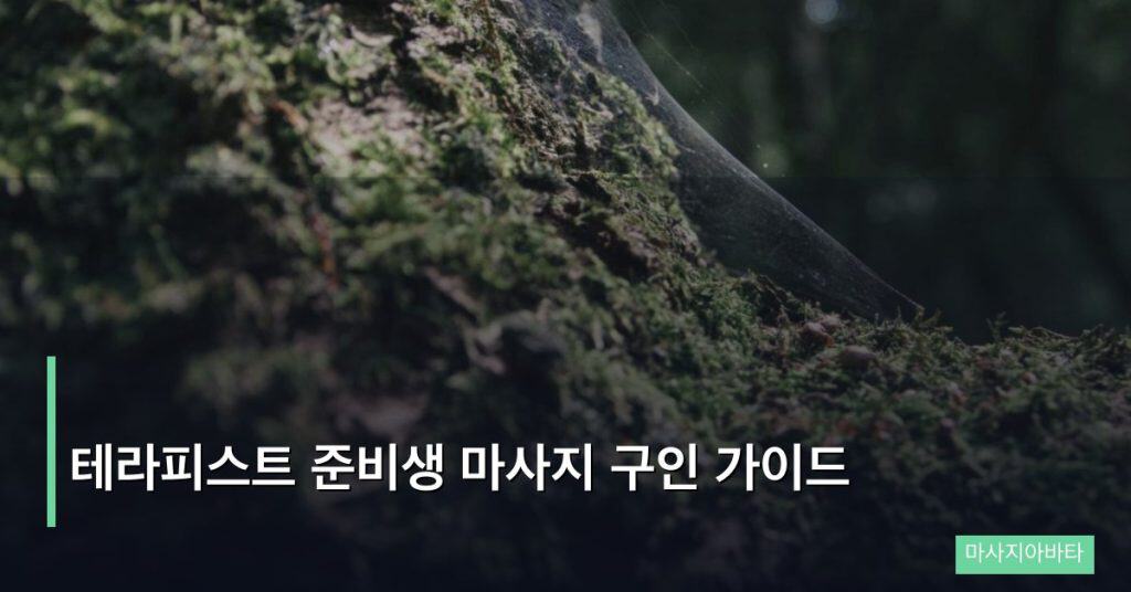 테라피스트 준비생 마사지 구인 가이드