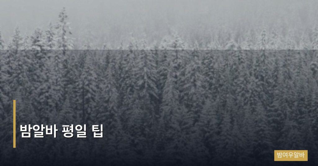 밤알바 평일 팁