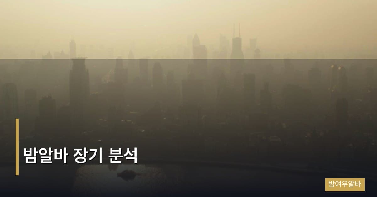 밤알바 장기 분석