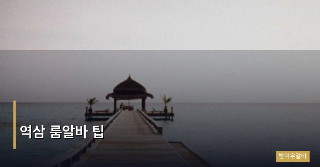 역삼 룸알바 팁
