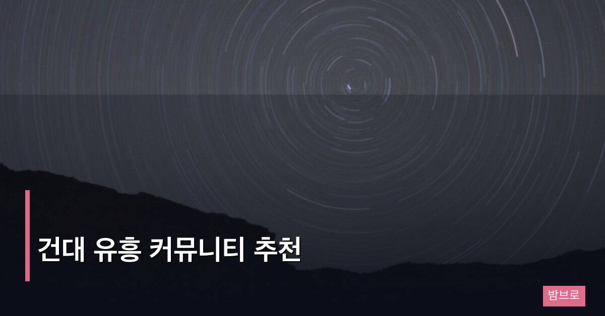건대 유흥 커뮤니티 추천