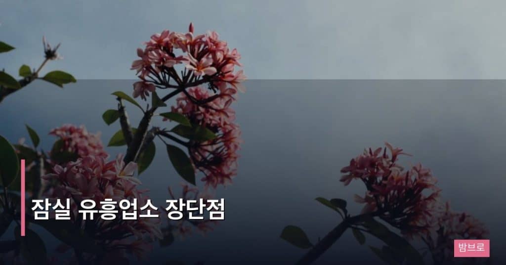 잠실 유흥업소 장단점