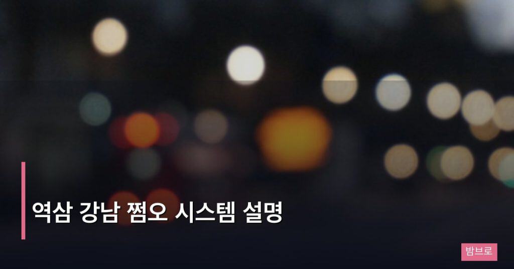 역삼 강남 쩜오 시스템 설명