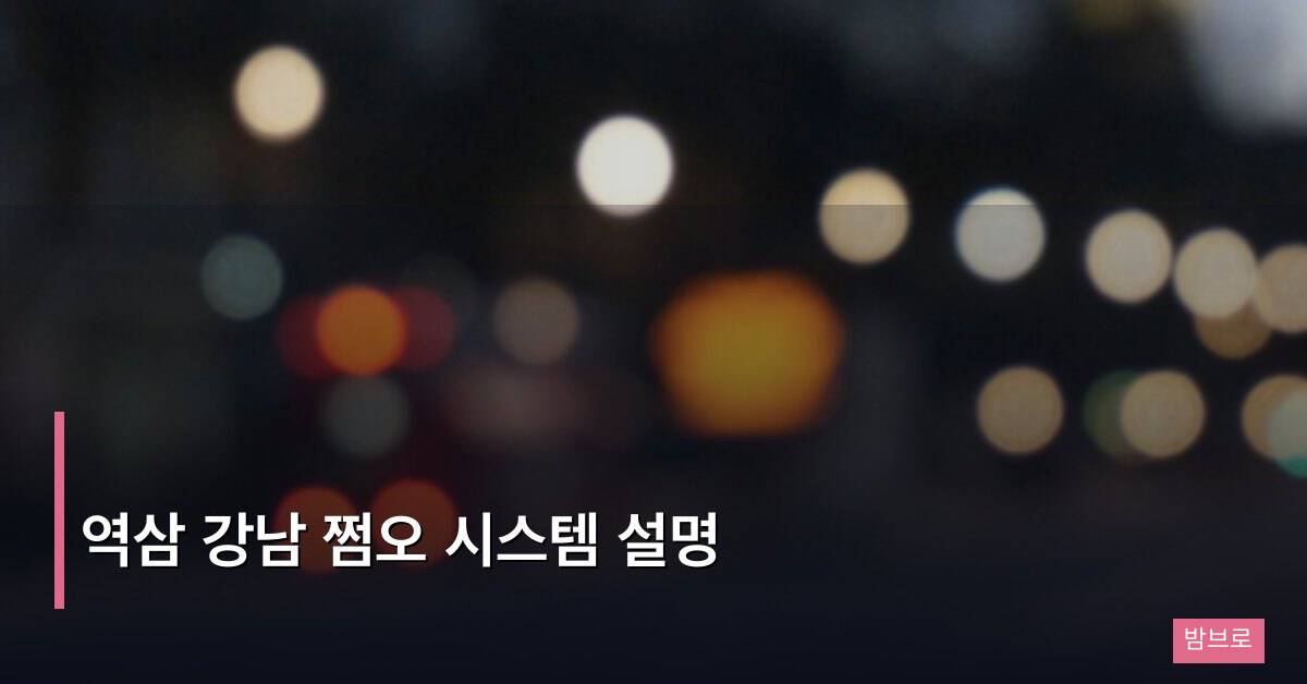 역삼 강남 쩜오 시스템 설명