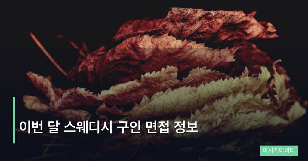 이번 달 스웨디시 구인 면접 정보