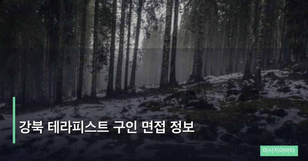 강북 테라피스트 구인 면접 정보