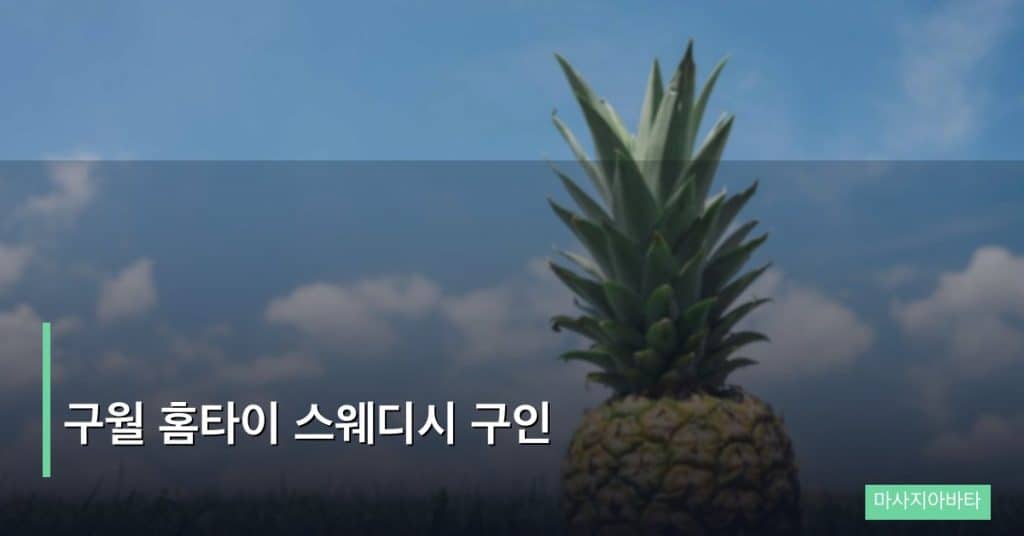 구월 홈타이 스웨디시 구인