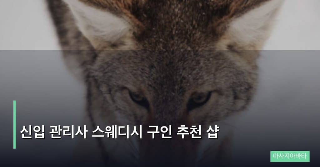 신입 관리사 스웨디시 구인 추천 샵